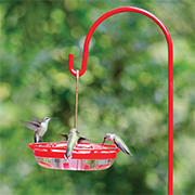 Red Hummingbird Feeder Pole