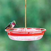 High Perch Hummingbird Feeder