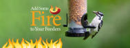 Add fire to your feeders, DSC Members