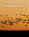 Making the Most of Migration